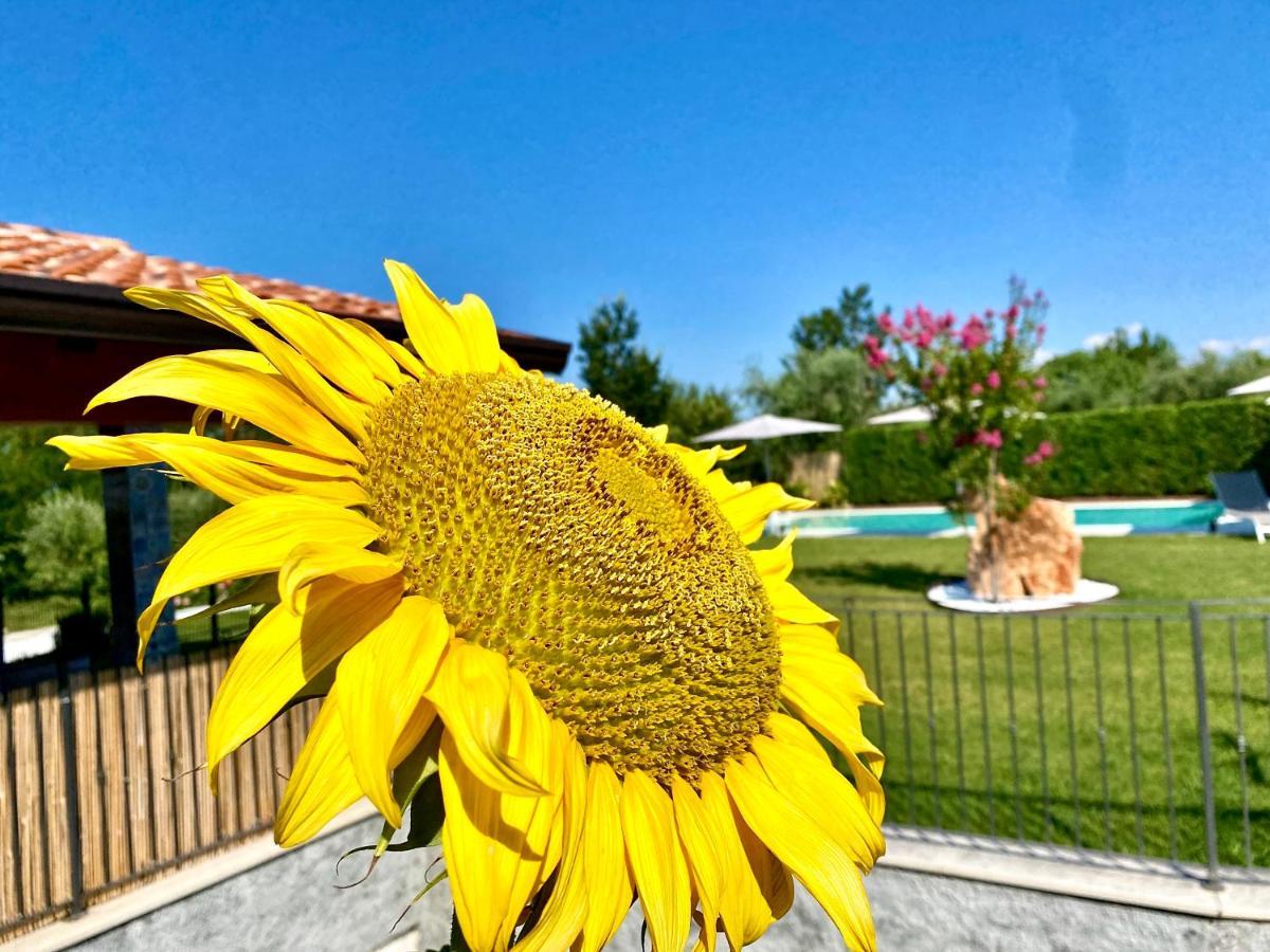Villa Poggio Bardolino Exteriér fotografie