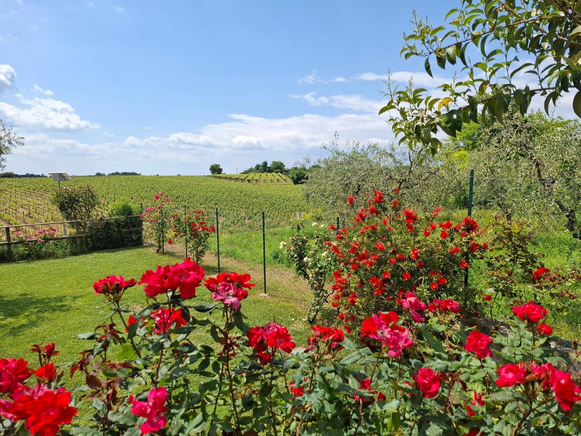 Villa Poggio Bardolino Exteriér fotografie