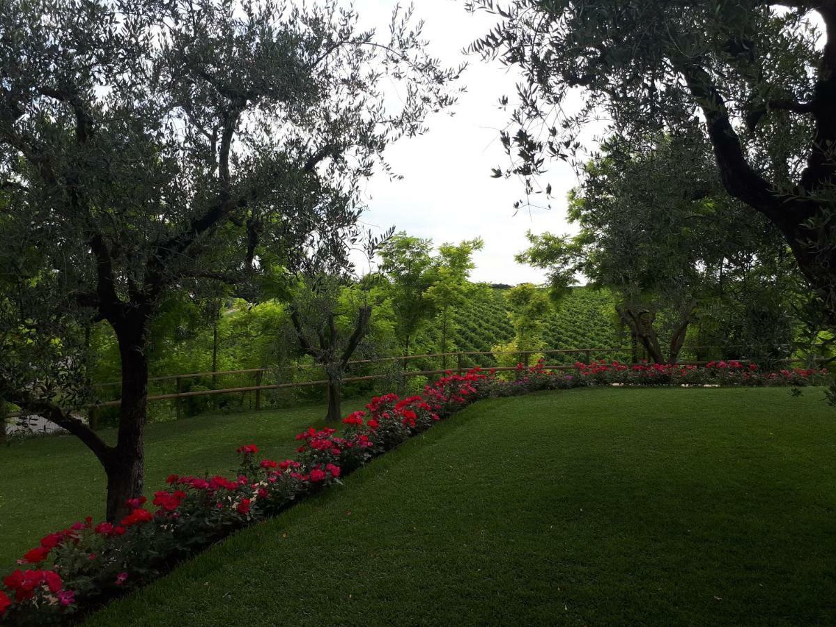 Villa Poggio Bardolino Exteriér fotografie