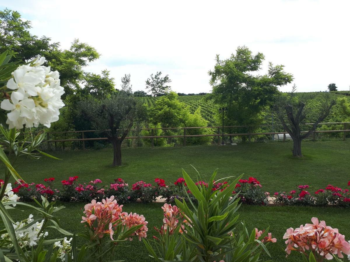 Villa Poggio Bardolino Exteriér fotografie